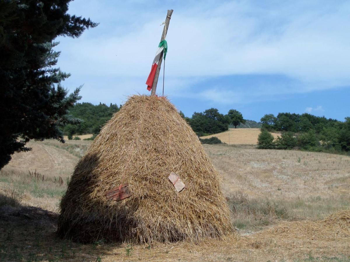 B&B Casa Cuccagna Fratte Rosa Zewnętrze zdjęcie